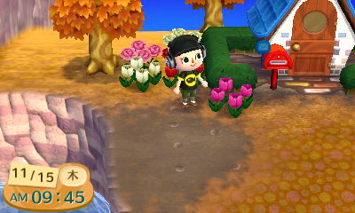 いおりのとび森日記 ピンク色の花が咲いた