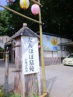 ファイル 83-1.jpg