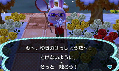 ゆきのけっしょう