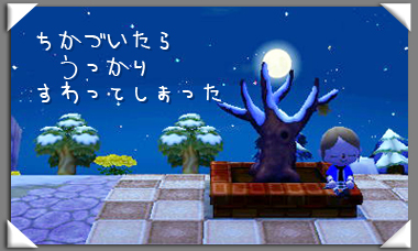 いおりのとび森日記　森のシンボルツリー　夜