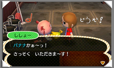 いおりのとび森日記　ししょーにさしいれ