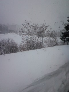 ファイル 889-1.jpg