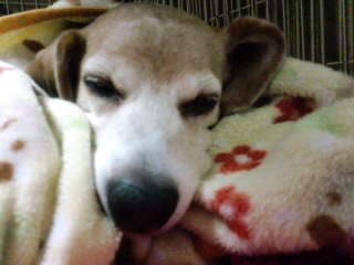 ファイル 893-1.jpg