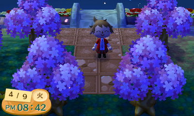 いおりのとび森日記　桜ふぶき