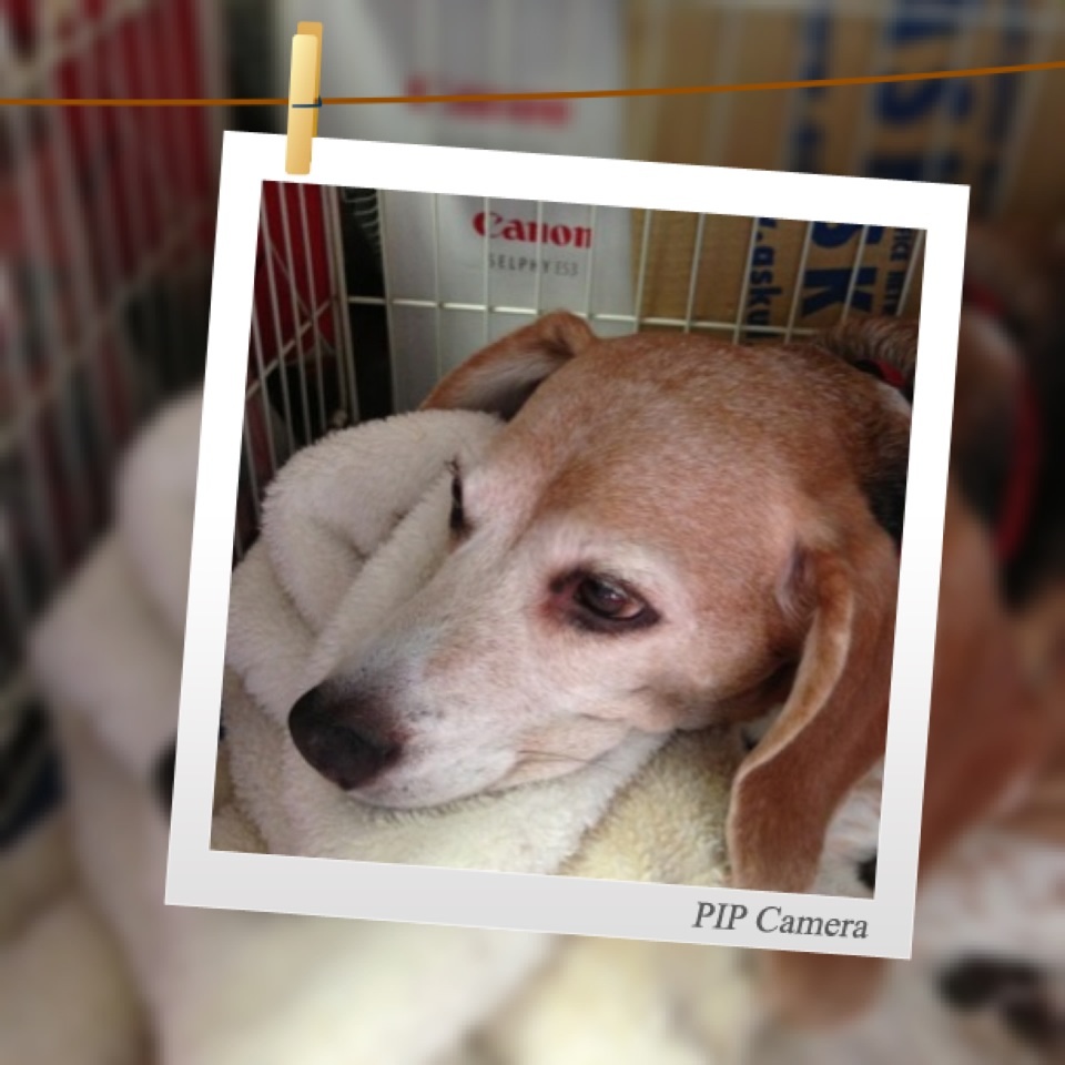 ファイル 939-1.jpg