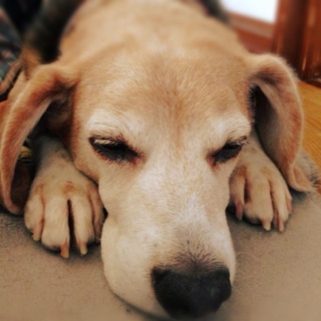 ファイル 952-1.jpg