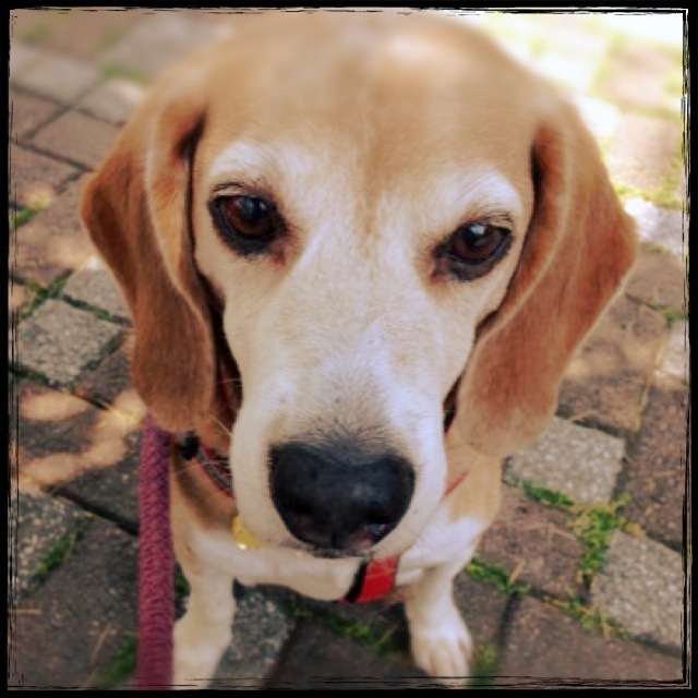 ファイル 962-1.jpg