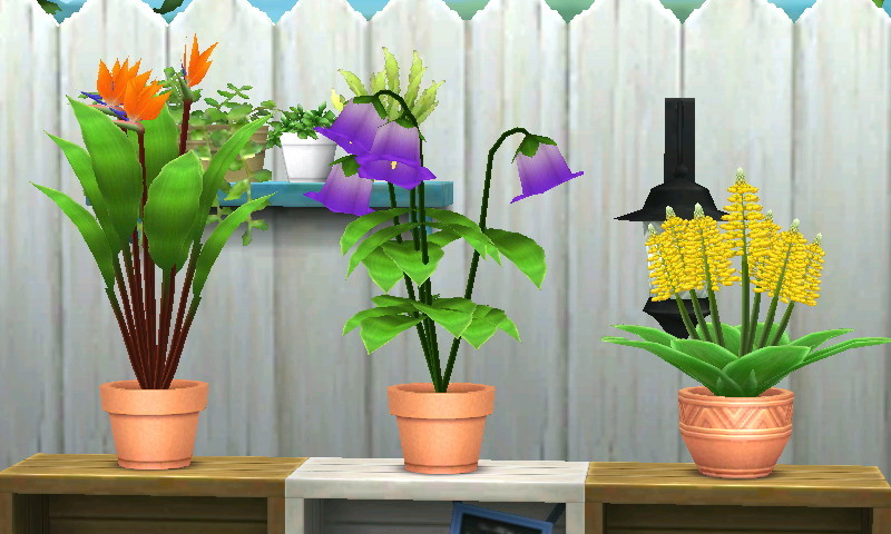 ファイル 997-1.jpg