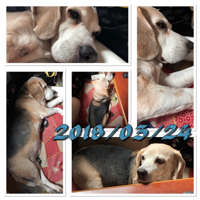 今日の武蔵さん