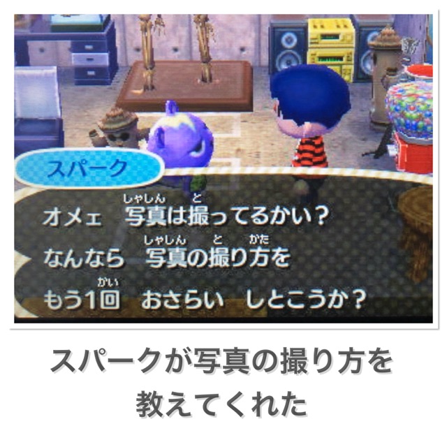 とびだせどうぶつの森 写真の撮り方を教えてくれたスパーク