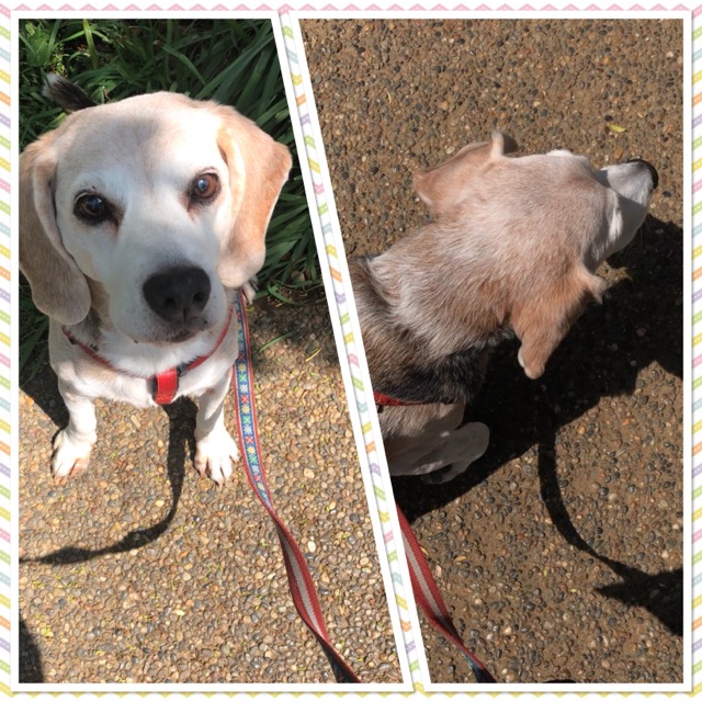 同じの武蔵さんの様子