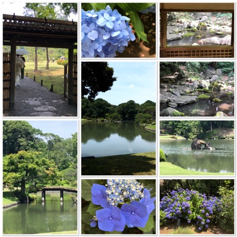 初夏の六義園