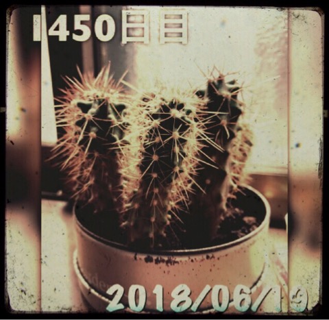 マルさぼちゃん1450日目