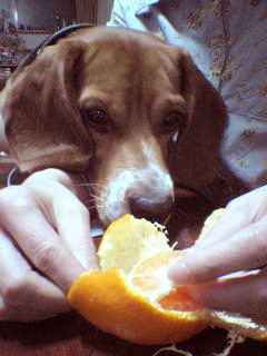 �व�ߤ���2