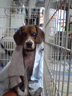 �ȿͤϤ��οͤǤ�