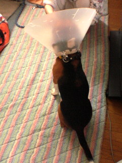 ��äѤ�����