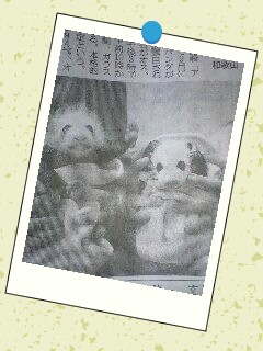 mb_1012103459.JPG 240��320 25K