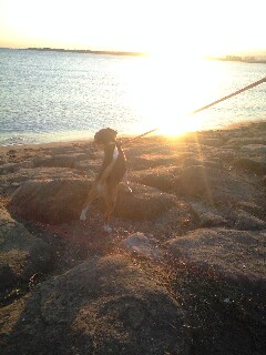 mb_1130163806.JPG 240��320 23K