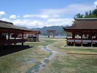 嚴島神社水ないよー
