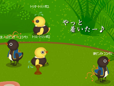 トリネシア27日目★トリソボロさん家に到着♪