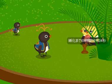 トリネシア33日目★トリソボロさんち