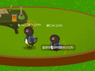 トリネシア33日目★産卵まで52時間08分02秒