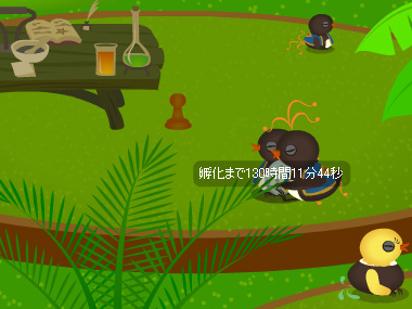 トリネシア37日目★ココペリ家族